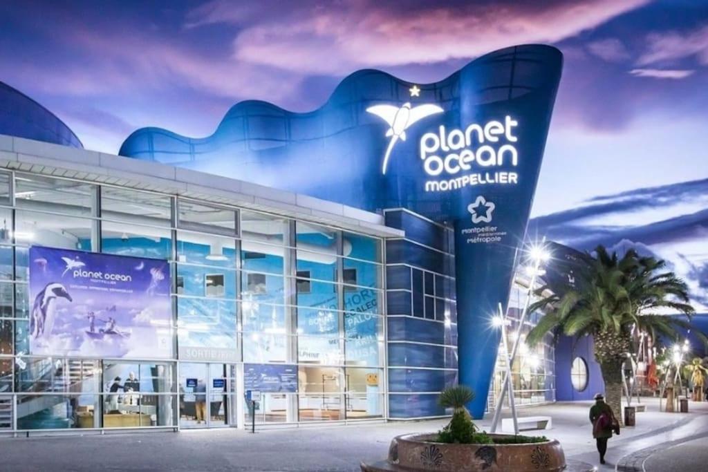Confort Climatise Et Suite Privee En Sousplex Montpellier Exterior foto